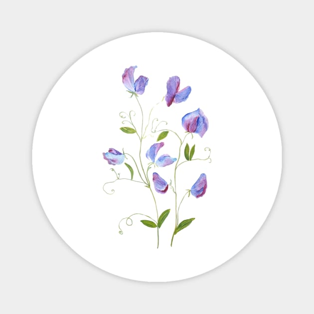 purple sweat peas flowers 2021 Magnet by colorandcolor